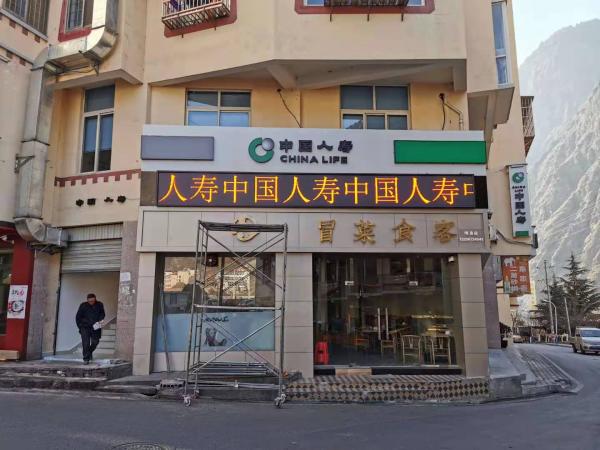 中國人壽理縣分公司戶外P10