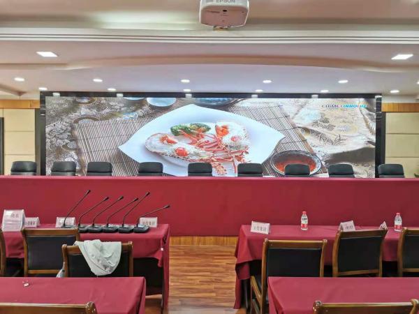 樂山國有資產(chǎn)委員會(huì)室內(nèi)全彩P2.0